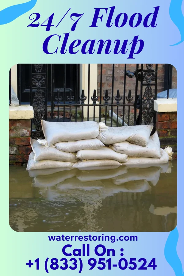 24/7 Flood Cleanup in Constantine, MI
