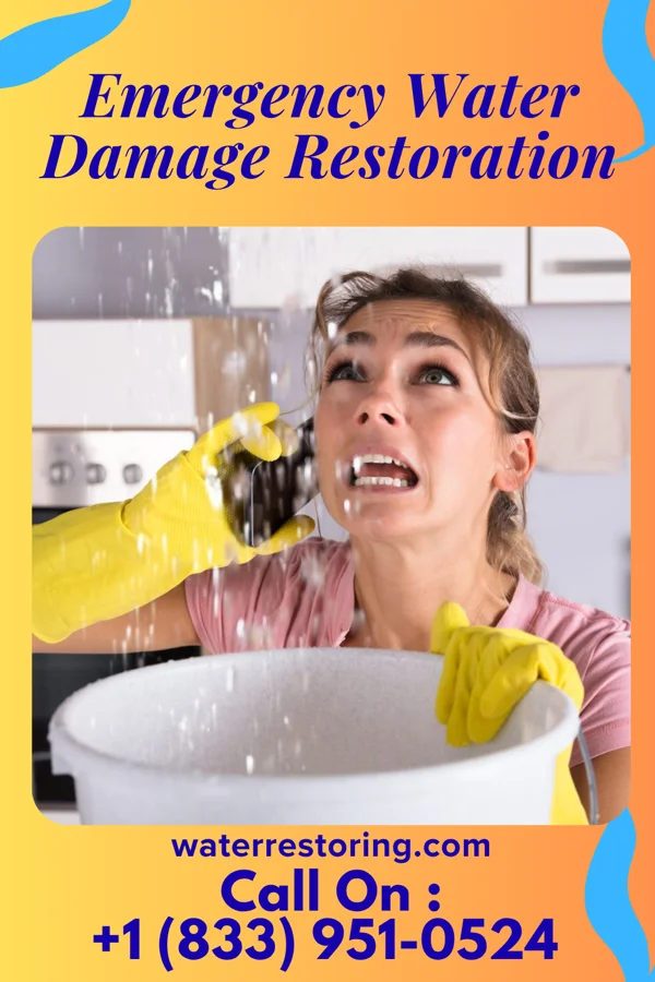 Emergency Water Damage Restoration in Constantine, MI