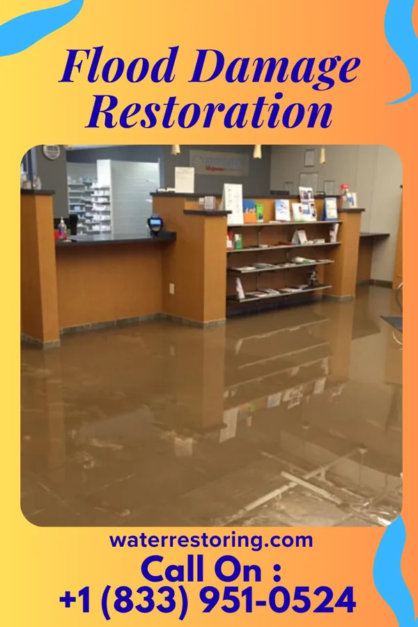 Flood Damage Restoration in Constantine, MI